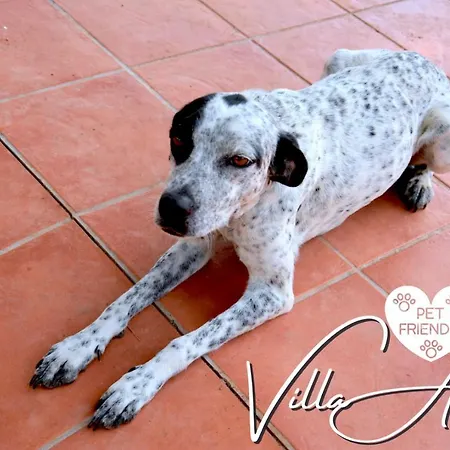 Aurora マルサラ